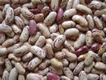 long shape light speckled kidney bean 180-200,200-220,220-240,240-260