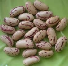 round shape light speckled kidney bean180-200,200-220,220-240,240-260
