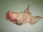 Frozen pork head