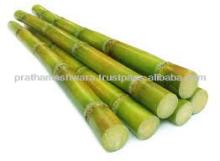BRAZIL CANE SUGAR