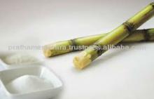 Prices of Sugar
