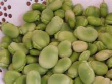 baby broad bean