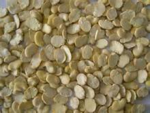 Dried Split Broad Bean