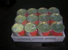 canned broad beans