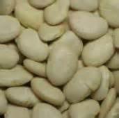 Organic Butter beans/ GMO Butter beans / Common Butter beans and certified