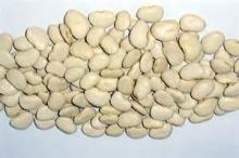 Split Butter Beans