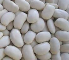 large butter white kidney beans