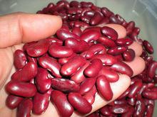White kidney beans for sale (Red and Black) speckled