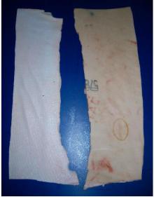  Pork   back   skin 