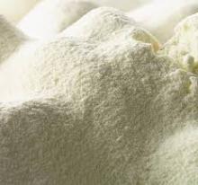 Skim Milk Powder