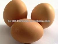 Brown chicken eggs