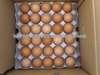 Ross 308 Fertilized Chicken eggs