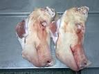 Frozen porkmeet of head
