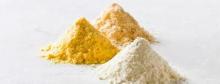 Egg Powder Plant