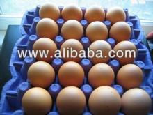 brown and white table eggs