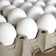 Indian Hen Table Eggs