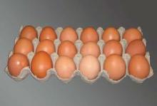 EGGS