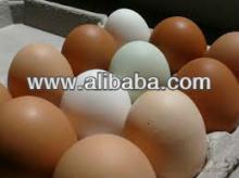 brown and white table fowl eggs