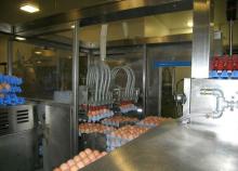 11000 ostrich chicks,6800 eggs and farms for sale.Contact us on our website (www.birdsbreed.webs.com