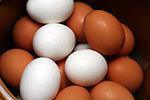 FRESH POULTRY EGGS AVAILABLE NOW. Please do reply back with your contact email address.