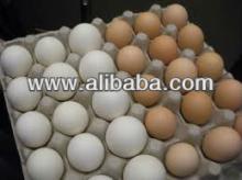 sell brown and white chicken table eggs