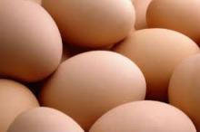 large fresh eggs