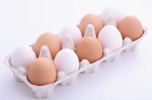 Fresh Pure White and Brown Shell Table Eggs
