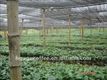 Selling 100% Pure Spray Dried Instant Coffee