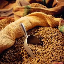 freeze dried coffee in bulk