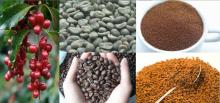 pure soluble freeze dried coffee powder