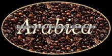 arabica coffee bean