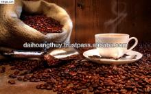 coffee arabica
