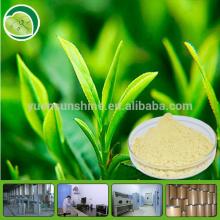  Tea  Polyphenol  50 %-98% Organic Green  Tea  Powder