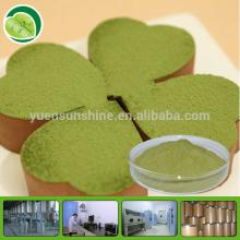 Food Grade High Quality Matcha Green Tea Powder For Drink