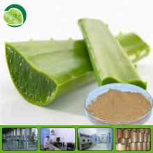 organic aloe vera powder aloe vera gel powder