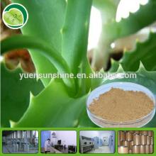 100% natural plant extract :Aloe vera juice 200:1