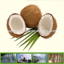 Tasty coconut water powder