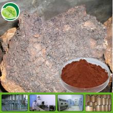 Natural chaga mushroom polysaccharide 30%