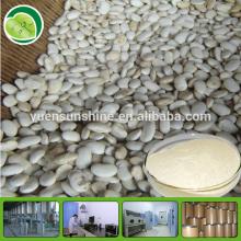 100% Natural Organic  White   Kidney   Bean  Extract