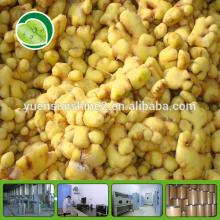 hot sale and top quality 100% natural vegetable extract ginger extract gingerol 10%