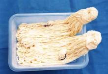Natural Sheep Casings / salted hog casing / sausage casing
