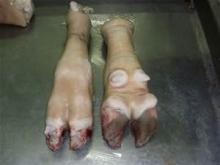  frozen   beef   feet 