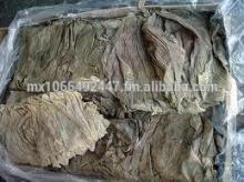 Beef Casings