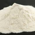 Hard,Semi Hard and Powder  Cheese 