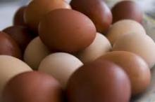 Brown fresh eggs eggs