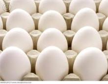  FRESH   WHITE   TABLE   EGGS .