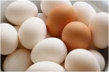 fresh fertile and table chicken eggs