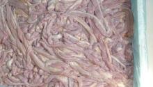 Sheep Intestine (Natural Sheep Casings) Salted or Frozen