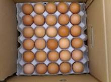 Brown chicken eggs