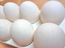 fresh eggs